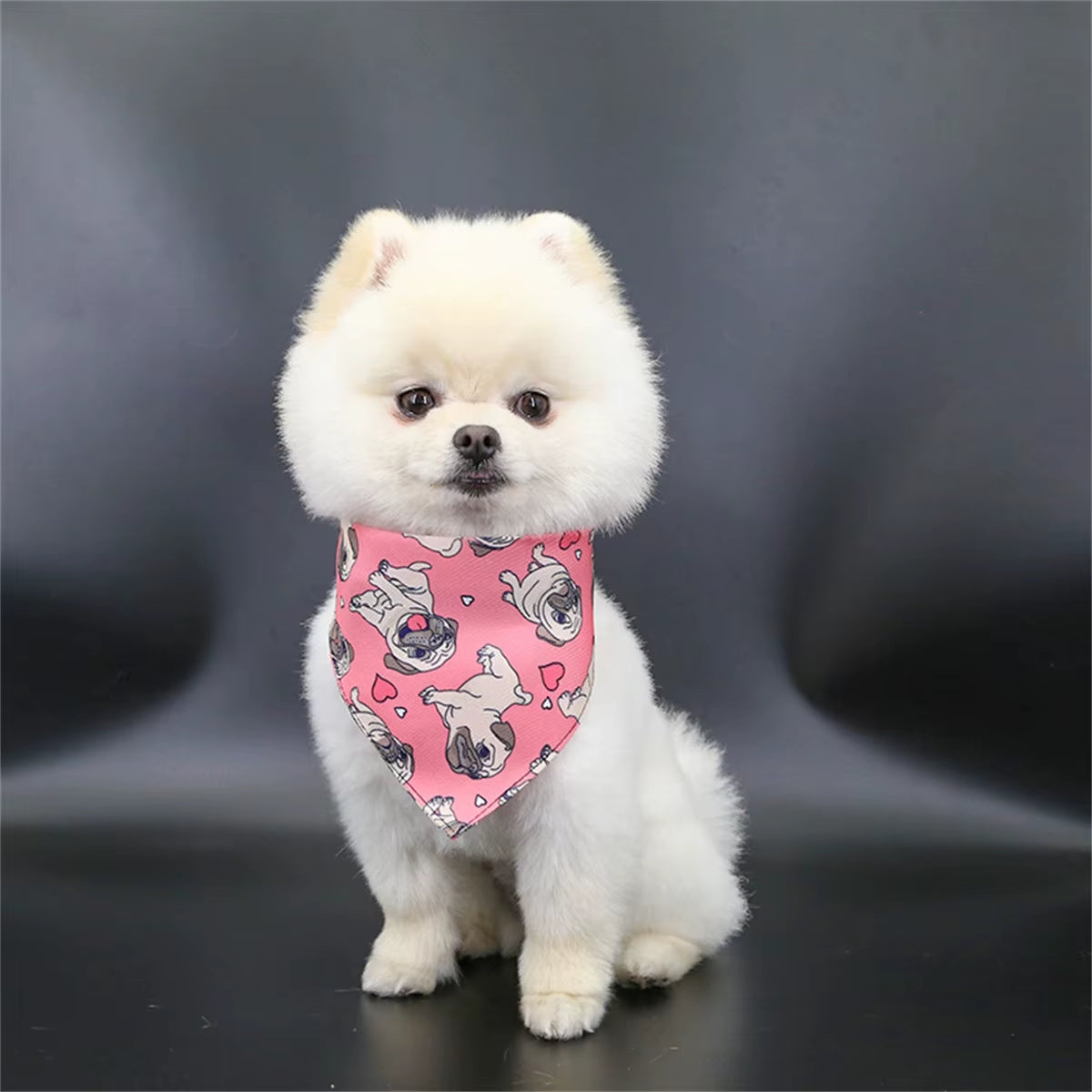 Pet Saliva Towel Adjustment Cute Cartoon Bear Weaved Dog Cat Collar Bib Grooming Arc Design Dog Scarf for Girl Small Dogs Cats