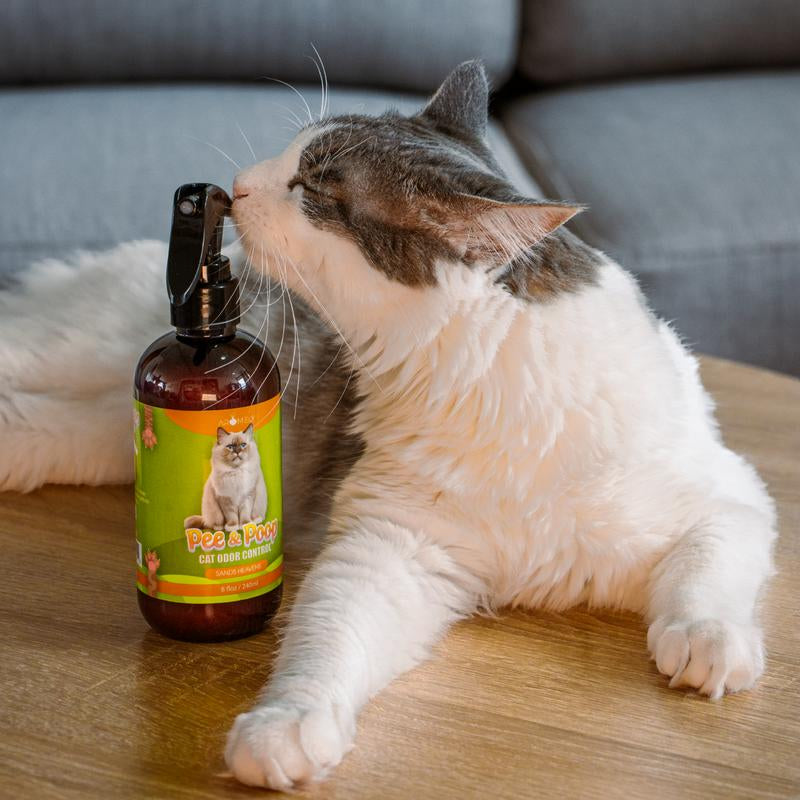 Pee & Poo Cat Odor Eliminator Spray - Clean & Natural - 8Oz(230Ml)